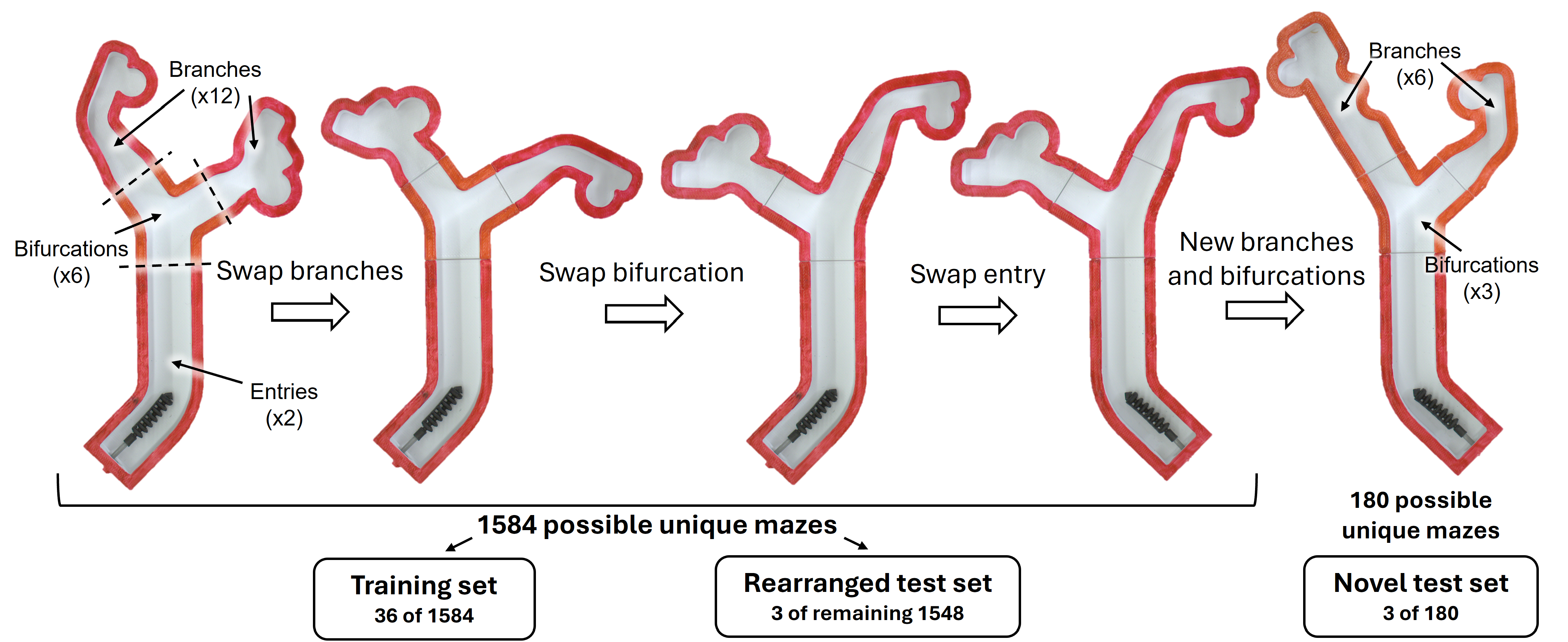 Descriptive text about the image